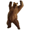 Bears ! 8