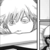 Denji 20