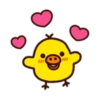 Duck 18