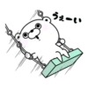 Bear 100% 23