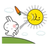Spoiled Rabbit Summer 26