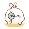 baby bunny 23