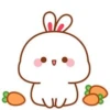 baby bunny 24