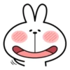 Spoiled Rabbit Facial Expression 25