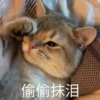 偷偷抹泪