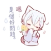white kitten girl polite every day 25