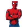 Spiderman Back 10