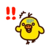 Duck 20