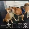 Feate:
一大口亲亲