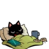 Gamercat 29