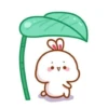 baby bunny 28