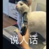 说人话