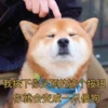 我按下你头顶的这个按钮
你就会变成一只傻狗