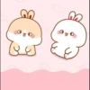 baby bunny 29
