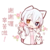 white kitten girl polite every day 29
