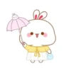baby bunny 30