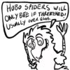 HOBO SPIDERS WILL
ONLY BITE IF THREATENED!
USUALLY OVER EGGS.