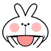 Spoiled Rabbit Facial Expression 29