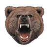 Bears ! 16