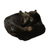 Bears ! 17