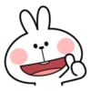 Spoiled Rabbit Facial Expression 30