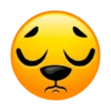 Mikecrack 2021 30