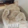 辣眼睛