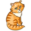 Striped Cat 5