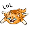 Striped Cat 6