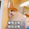 Sun Meow 6