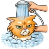 Striped Cat 7