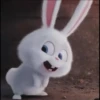 faraaa 5