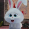 snowball rabbit 6