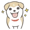 Shiba-Puppy! 5