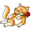 Striped Cat 8