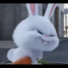 snowball rabbit 9