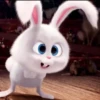 faraaa 7