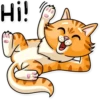 Striped Cat 9
