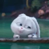 snowball rabbit 13