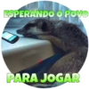 Suricate Seboso 6