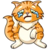Striped Cat 14