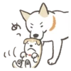 Shiba-Puppy! 13