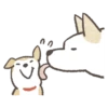 Shiba-Puppy! 14