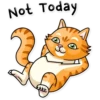 Striped Cat 18