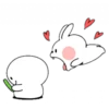 Spoiled rabbit with mask 11