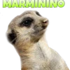 Suricate Seboso 7