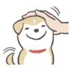 Shiba-Puppy! 15