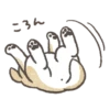 Shiba-Puppy! 16