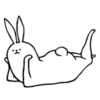 rabbit with really beautiful legs 11