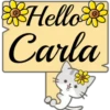 Hello Name Cat 1 13